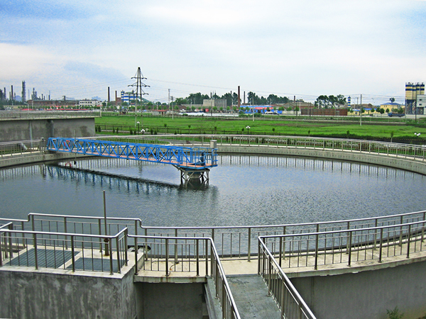 6314251d47430.jpg